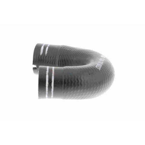 Ladeluftschlauch VAICO V24-0804 Q+, Erstausrüsterqualität für FIAT