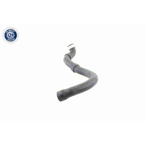 Kühlerschlauch VAICO V30-1661 Q+, Erstausrüsterqualität für MERCEDES-BENZ, unten