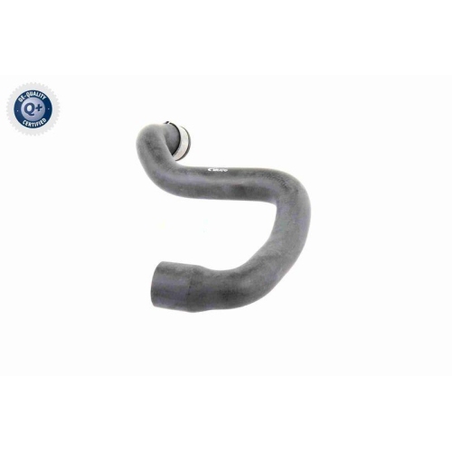 Kühlerschlauch VAICO V30-1662 Q+, Erstausrüsterqualität für MERCEDES-BENZ, unten