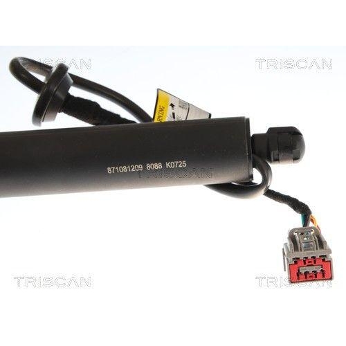 TRISCAN 8710 81209 Gasfeder, Koffer-/Laderaum f&uuml;r TESLA, hinten rechts
