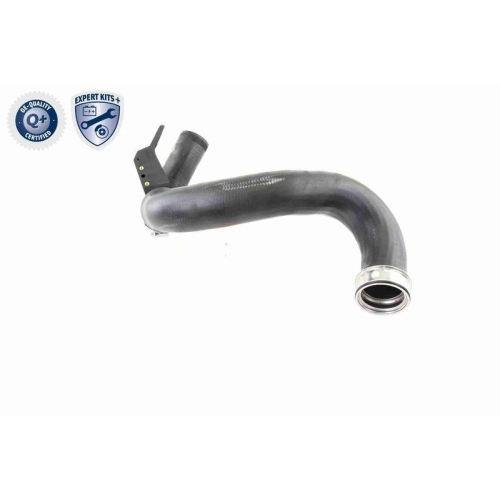 Ladeluftschlauch VAICO V30-2421 EXPERT KITS + für CHRYSLER DODGE MERCEDES-BENZ