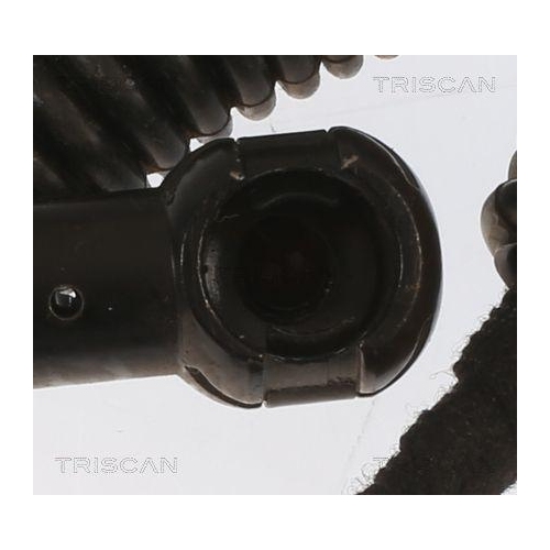 Gasfeder, Koffer-/Laderaum TRISCAN 8710 11364 für BMW, rechts