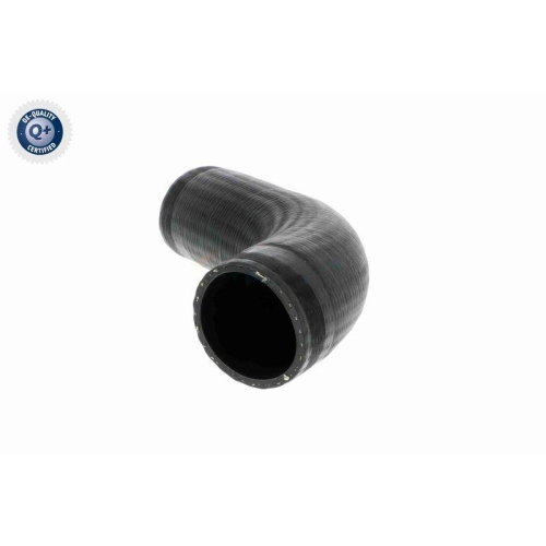 Ladeluftschlauch VAICO V30-2451 Q+, Erstausrüsterqualität für MERCEDES-BENZ