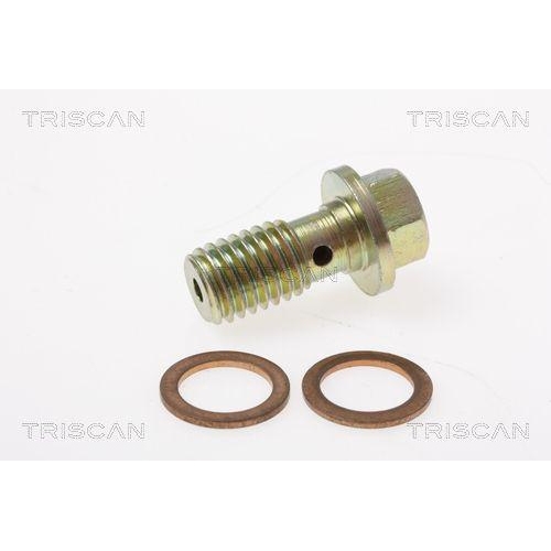 Bremsschlauch TRISCAN 8150 16308 f&uuml;r FORD, Hinterachse links, au&szlig;en