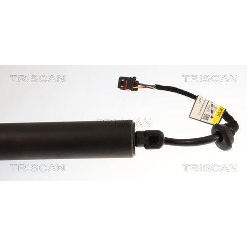 TRISCAN 8710 29349 Gasfeder, Koffer-/Laderaum f&uuml;r AUDI, links, rechts