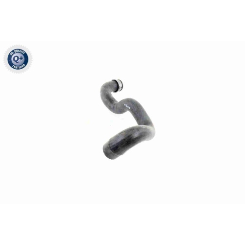 Kühlerschlauch VAICO V30-1919 Q+, Erstausrüsterqualität für MERCEDES-BENZ