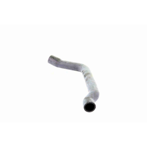 K&uuml;hlerschlauch VAICO V20-2607 Q+, Erstausr&uuml;sterqualit&auml;t f&uuml;r MINI, unten