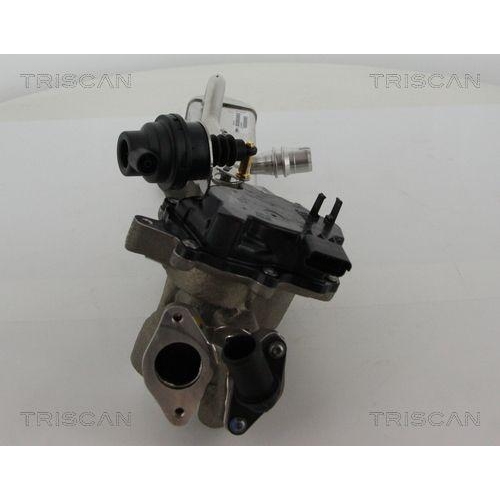 AGR-Ventil TRISCAN 8813 28044 f&uuml;r CITRO&Euml;N PEUGEOT