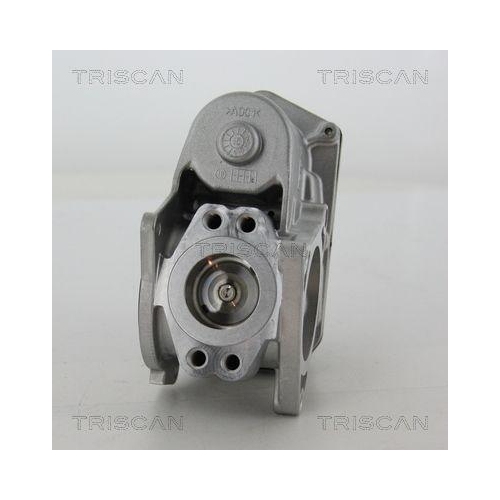 AGR-Ventil TRISCAN 8813 29003 f&uuml;r AUDI SEAT SKODA VW HITACHI