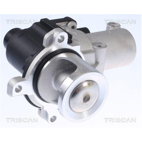 AGR-Ventil TRISCAN 8813 29015 f&uuml;r AUDI VW