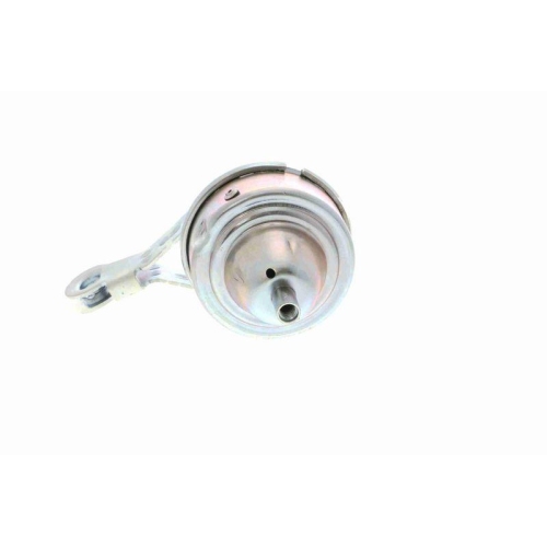 Lagerung, Motor VAICO V20-1559 Original VAICO Qualit&auml;t f&uuml;r MINI, rechts