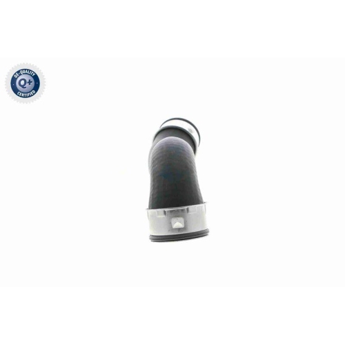 Ladeluftschlauch VAICO V10-3761 Q+, Erstausr&uuml;sterqualit&auml;t f&uuml;r AUDI SEAT SKODA VW