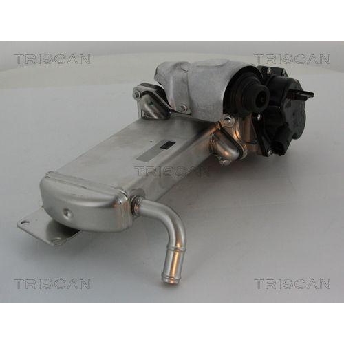 AGR-Ventil TRISCAN 8813 29304 für AUDI VW