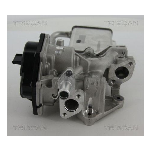 AGR-Ventil TRISCAN 8813 29305 f&uuml;r VW