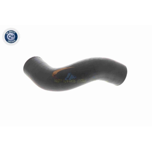 Ladeluftschlauch VAICO V24-0695 Q+, Erstausr&uuml;sterqualit&auml;t f&uuml;r FIAT
