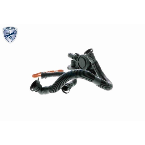 Reparatursatz, Kurbelgeh&auml;useentl&uuml;ftung VAICO V10-3246 EXPERT KITS + f&uuml;r AUDI VW