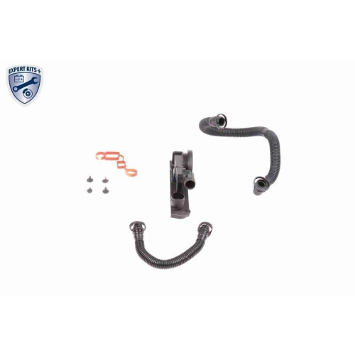 Reparatursatz, Kurbelgeh&auml;useentl&uuml;ftung VAICO V10-3247 EXPERT KITS + f&uuml;r AUDI VW