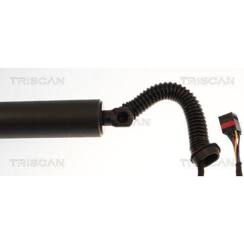 TRISCAN 8710 29333 Gasfeder, Koffer-/Laderaum f&uuml;r AUDI, links, rechts