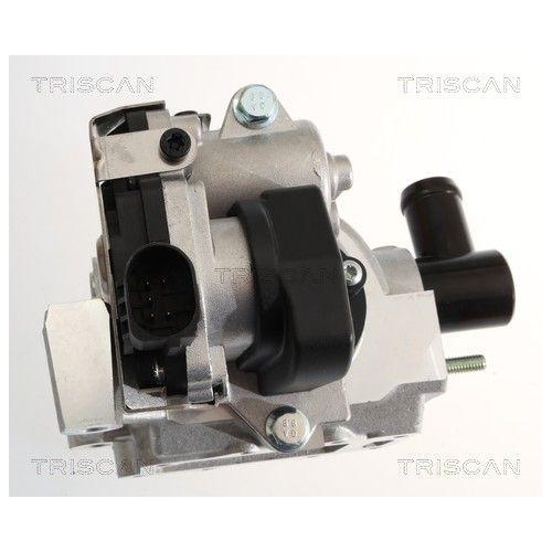 AGR-Ventil TRISCAN 8813 18046 f&uuml;r HYUNDAI KIA