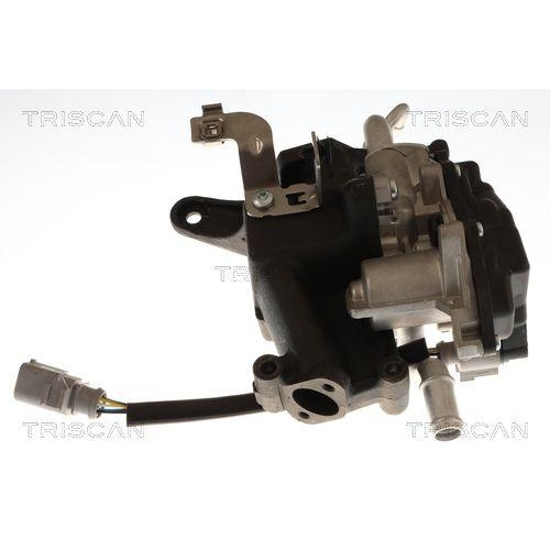 TRISCAN 8813 29118 AGR-Ventil f&uuml;r AUDI SEAT SKODA VW