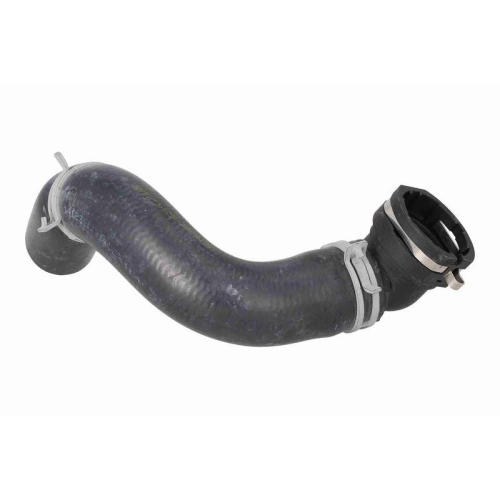 ACKOJA A52-0888 K&uuml;hlerschlauch Original ACKOJA Qualit&auml;t f&uuml;r HYUNDAI, unten