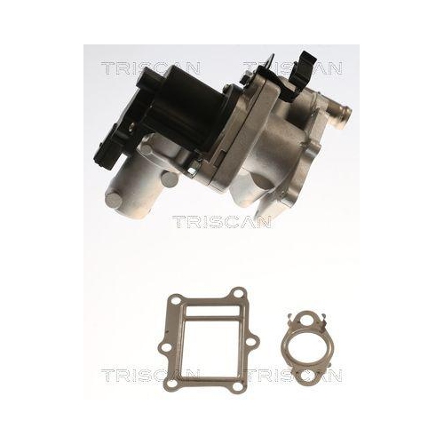 AGR-Ventil TRISCAN 8813 43017 f&uuml;r HYUNDAI KIA