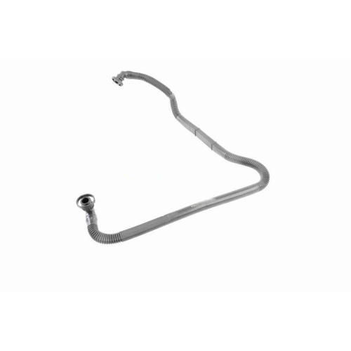 Schlauch, Kurbelgeh&auml;useentl&uuml;ftung VAICO V10-2679 Original VAICO Qualit&auml;t f&uuml;r VW