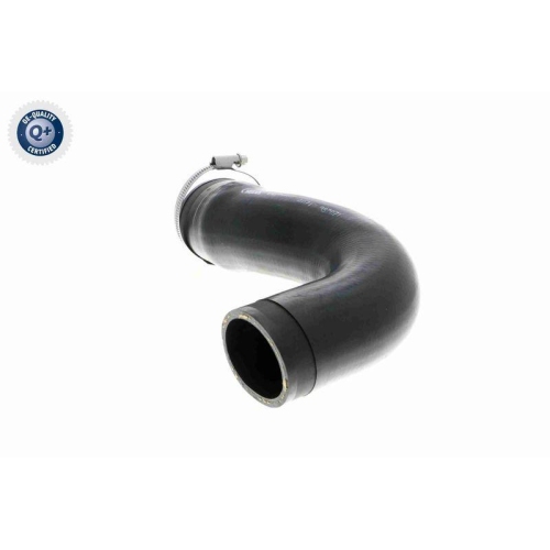 Ladeluftschlauch VAICO V30-3151 Q+, Erstausr&uuml;sterqualit&auml;t f&uuml;r MERCEDES-BENZ