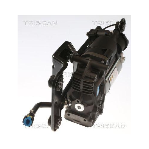 Kompressor, Druckluftanlage TRISCAN 8725 11104 für BMW
