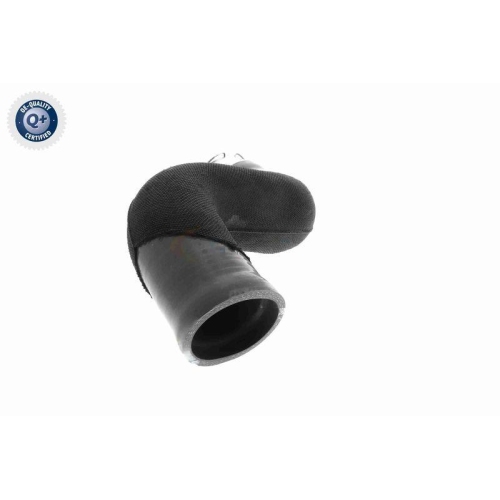 Ladeluftschlauch VAICO V46-0832 Q+, Erstausrüsterqualität für RENAULT
