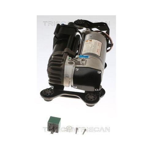 Kompressor, Druckluftanlage TRISCAN 8725 11105 für BMW