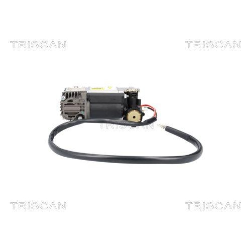 Kompressor, Druckluftanlage TRISCAN 8725 11107 für BMW