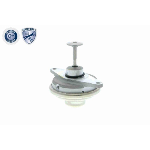 AGR-Ventil VEMO V40-63-0024-1 EXPERT KITS + f&uuml;r OPEL VAUXHALL GENERAL MOTORS