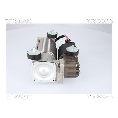 Kompressor, Druckluftanlage TRISCAN 8725 15001 für IVECO