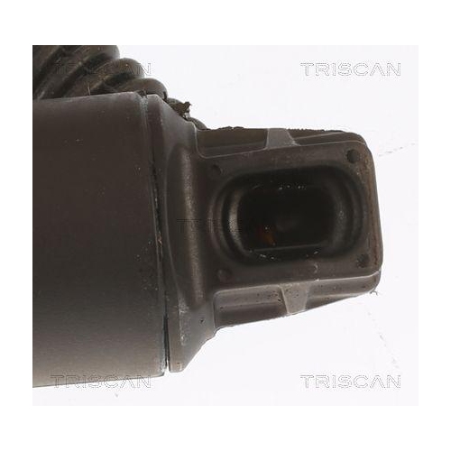 Gasfeder, Koffer-/Laderaum TRISCAN 8710 29304 für VW, hinten links