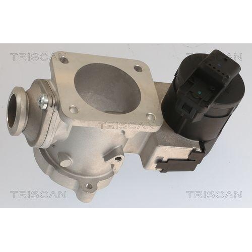 AGR-Ventil TRISCAN 8813 11020 f&uuml;r BMW