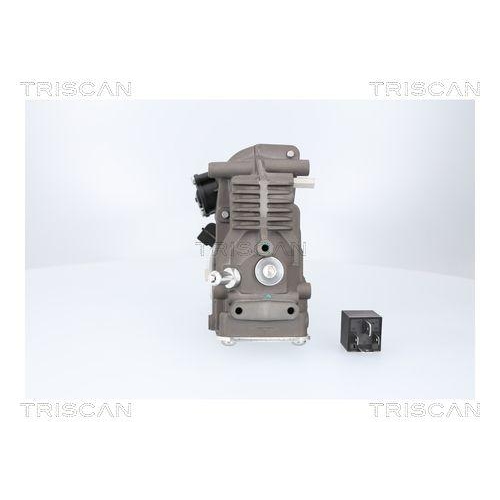 Kompressor, Druckluftanlage TRISCAN 8725 23106 für MERCEDES-BENZ
