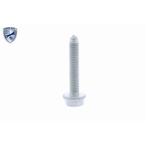 Wasserpumpe + Zahnriemensatz VAICO V10-50109-BEK EXPERT KITS + f&uuml;r AUDI PEUGEOT