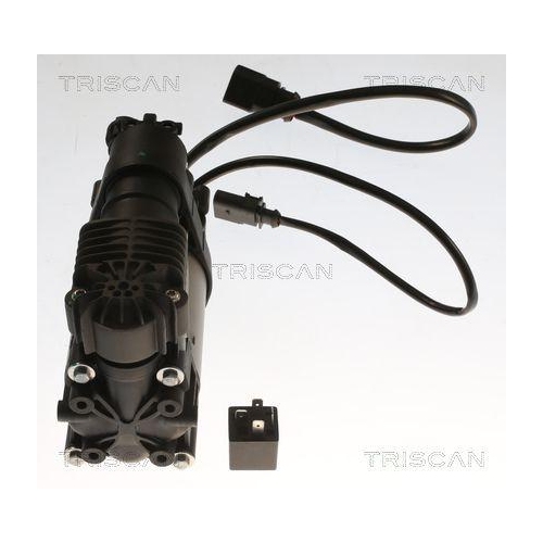 Kompressor, Druckluftanlage TRISCAN 8725 29103 für VW