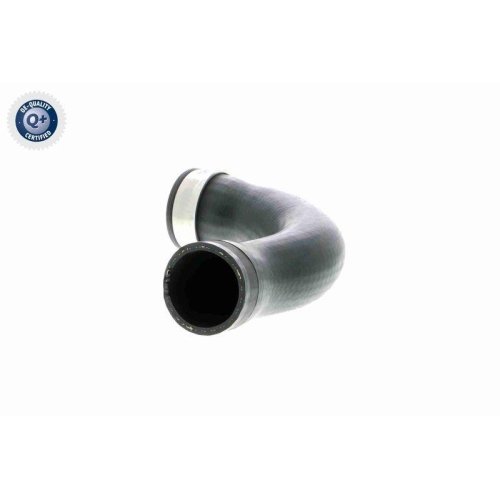 Ladeluftschlauch VAICO V10-3768 Q+, Erstausr&uuml;sterqualit&auml;t f&uuml;r AUDI SEAT SKODA VW