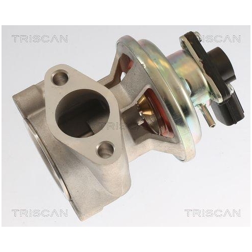 AGR-Ventil TRISCAN 8813 42003 f&uuml;r MITSUBISHI