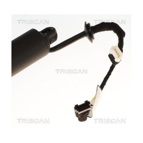 TRISCAN 8710 11371 Gasfeder, Koffer-/Laderaum f&uuml;r BMW, rechts
