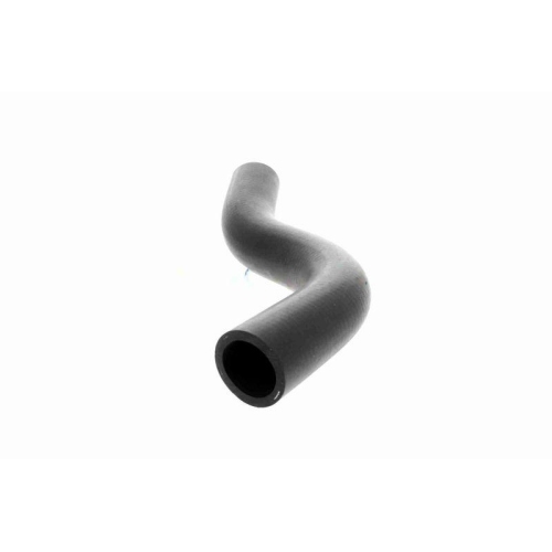 ACKOJA A26-1600 K&uuml;hlerschlauch Original ACKOJA Qualit&auml;t f&uuml;r HONDA, oben
