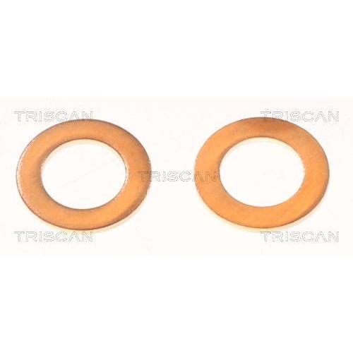 Bremsschlauch TRISCAN 8150 14115 f&uuml;r NISSAN, Vorderachse links