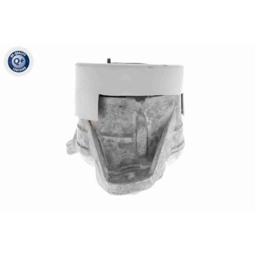 Lagerung, Motor VAICO V30-3262 Q+, Erstausr&uuml;sterqualit&auml;t f&uuml;r MERCEDES-BENZ