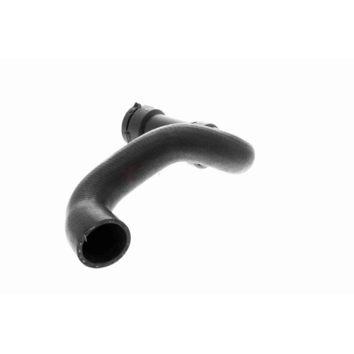 K&uuml;hlerschlauch VAICO V10-3196 Q+, Erstausr&uuml;sterqualit&auml;t f&uuml;r AUDI SEAT SKODA VW