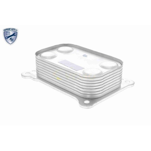 &Ouml;lk&uuml;hler, Motor&ouml;l VEMO V24-60-0020 EXPERT KITS + f&uuml;r FIAT