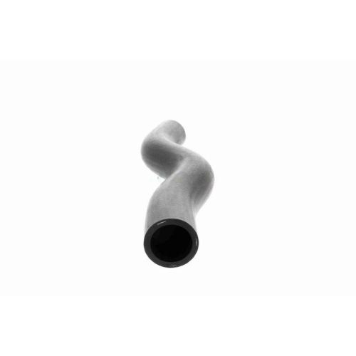 ACKOJA A26-1601 K&uuml;hlerschlauch Original ACKOJA Qualit&auml;t f&uuml;r HONDA, oben