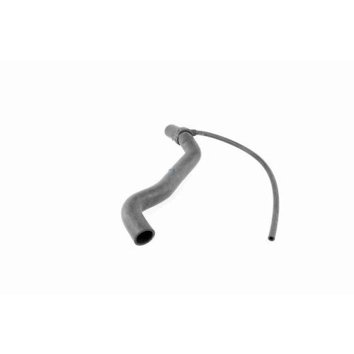 K&uuml;hlerschlauch VAICO V10-3199 Q+, Erstausr&uuml;sterqualit&auml;t f&uuml;r AUDI SEAT SKODA VW