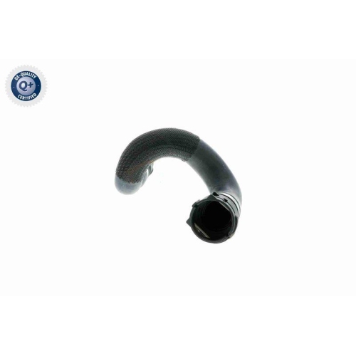 K&uuml;hlerschlauch VAICO V20-1461 Q+, Erstausr&uuml;sterqualit&auml;t f&uuml;r BMW, unten